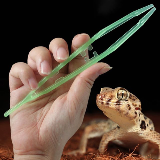 파총류 야광 플라스틱 집게 파총류 도마뱀 먹이집게