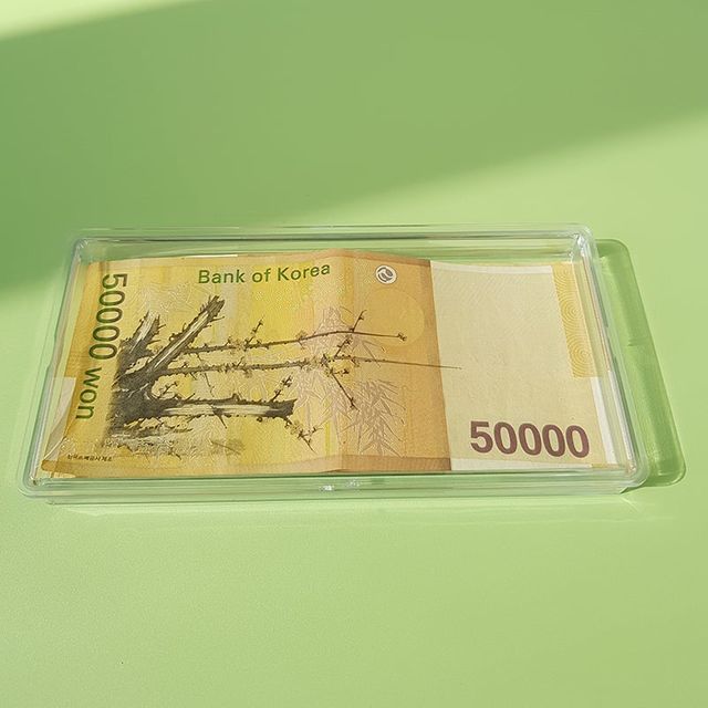 지폐 투명 보관함 수납 박스 케이스 수집품 구김방지