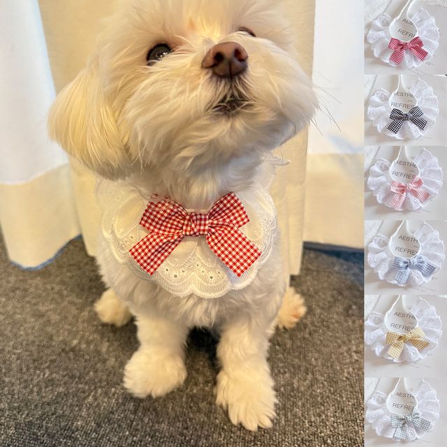 반려동물 체크리본 프릴 스카프 6COLOR HM-1004456