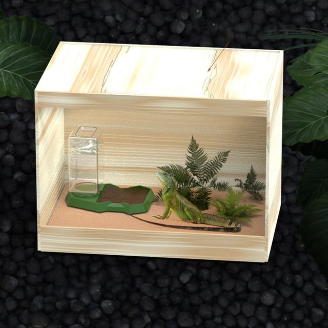 파충류 침수방지 급수기 대용량 도마뱀 키우기