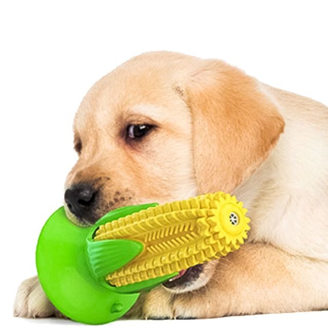 강아지 노즈워크 장난감 터그놀이 칫솔 세트