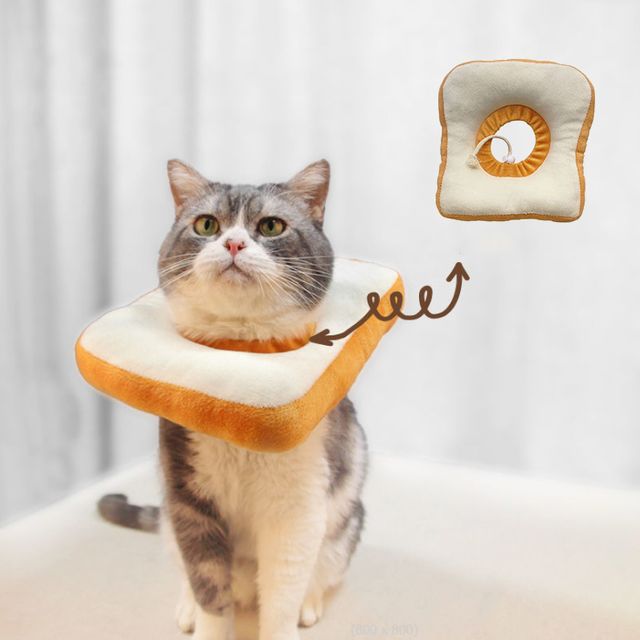 고양이 강아지 넥카라 애견 깔대기 목카라 목보호대