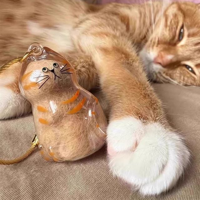 투명 반려동물 고양이 털 뭉치 보관 캡슐 키링