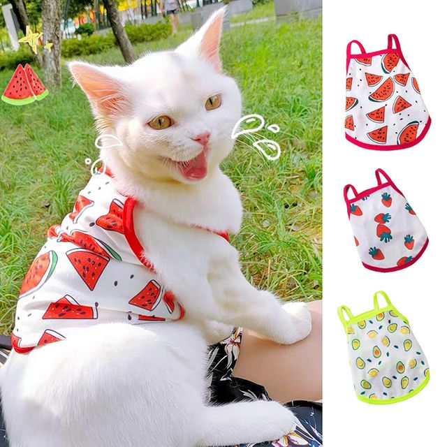 강아지 고양이 민소매 여름옷 나시 얇은옷 실내복