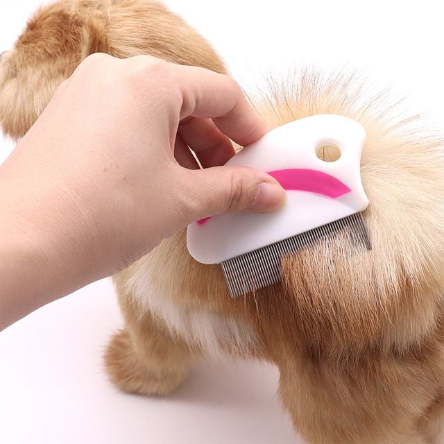 반려동물 스테인리스 털관리 눈물제거 눈꼽빗 H-00066