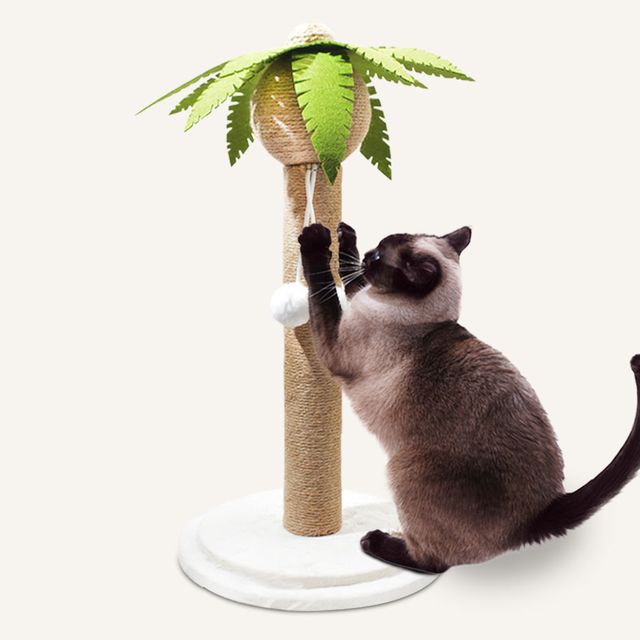 멍냥이랑 고양이 야자수 수직 스크래쳐 소형