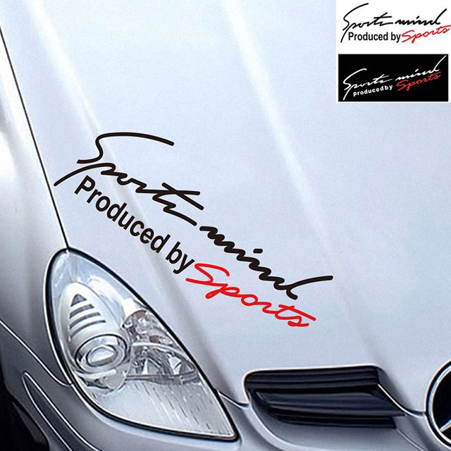 차량용 스티커 장식품 악세서리 자동차 튜닝 배경장식