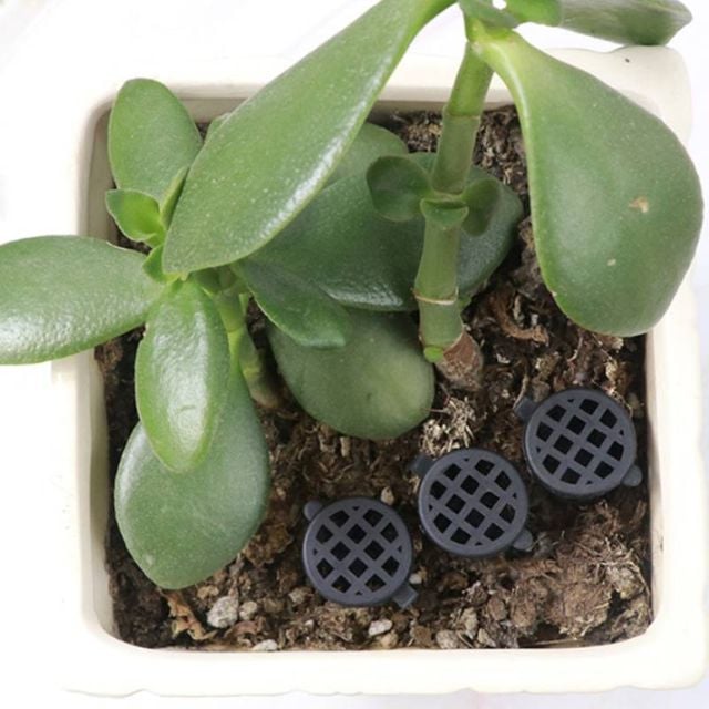 식물 비료 영양제 바구니 50p 보관통 알비료 영양제 케이스