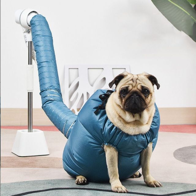 키밍 애견 목욕 드라이룸 강아지 고양이 드라이기 21