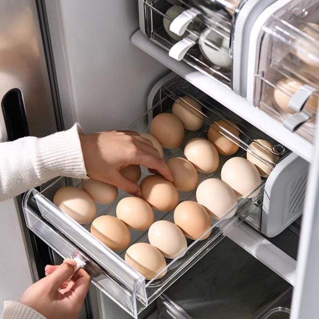 2단 계란 보관함 냉장고 수납케이스 정리함