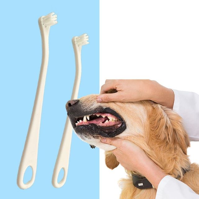 반려동물 구강관리 칫솔 강아지 고양이 애완동물용