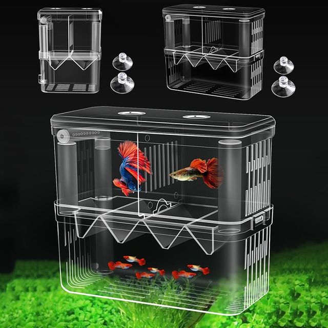 구피 열대어 부화통 번식함 격리통 치어통 소형 2칸