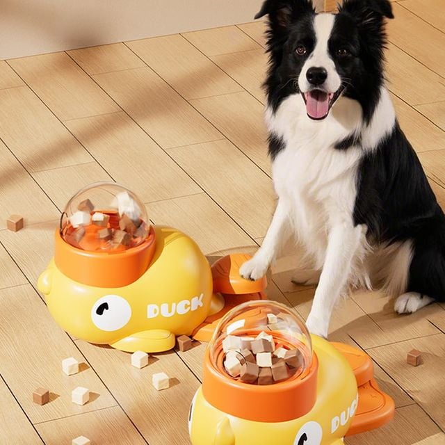강아지 고양이 장난감 급식기 반려동물 훈련 완구