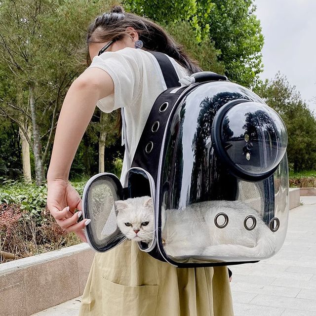 반려동물 우주 캡슐 백팩 이동가방 H-00042