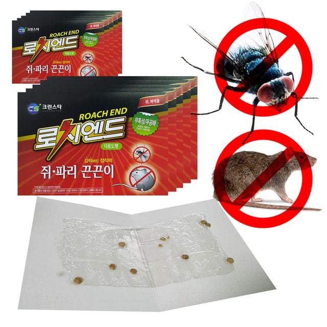 로치엔드 쥐파리 쥐잡이 끈끈이 2매팩 5개 쥐