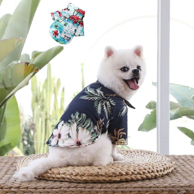 여름 강아지 하와이안 셔츠 남방 애견바캉스룩 얇은옷