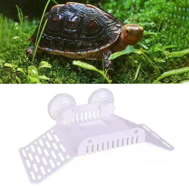 양방향 거북이 육지 쉼터 육지 키우기 은신처 수족관