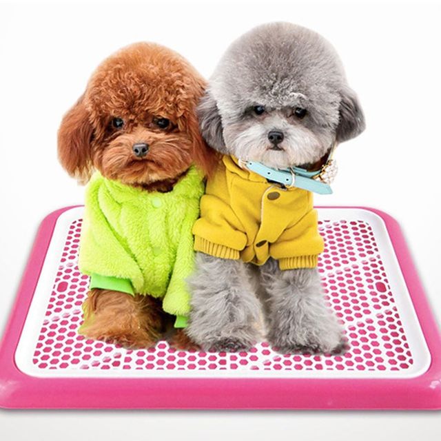 반려견 화장실 훈련 패드 배변판 강아지용