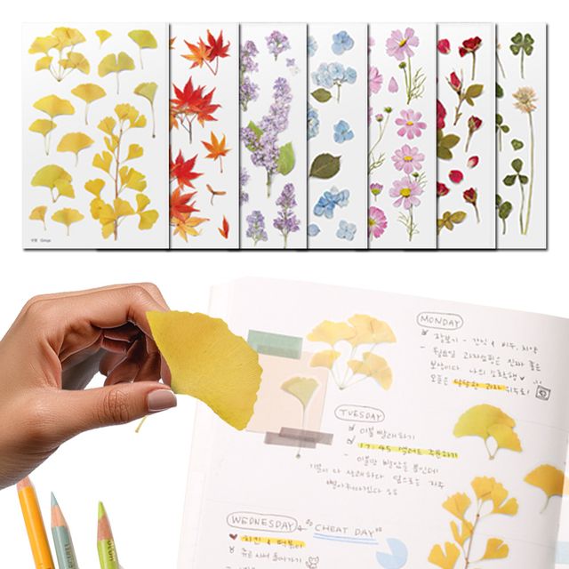 다꾸 꽃스티커 모음 은행 라일락 코스모스 식물