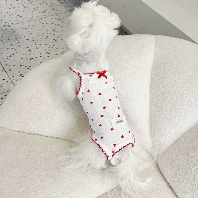 애견 하트 나시 강아지 고양이 여름옷 실내복 애견의류 쿨셔츠 펫용품 반려동물