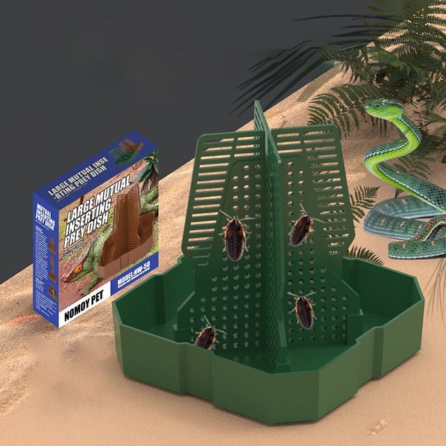 파충류 탈출 방지 먹이케이스 도마뱀 키우기 대형