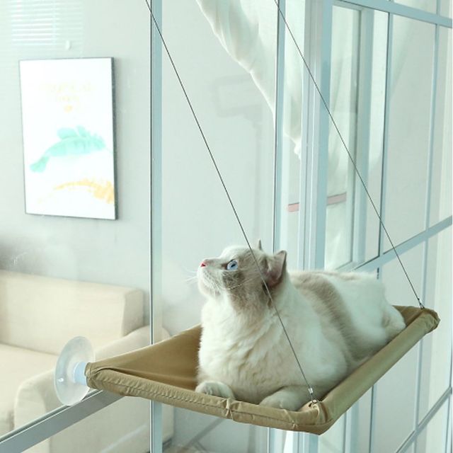 창문 흡착 고양이 해먹 침대 캣타워