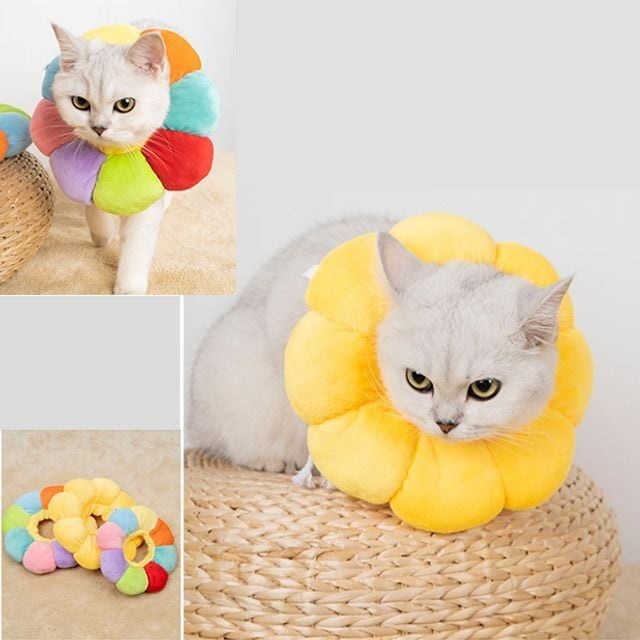 키밍 고양이 목보호대 넥카라 긁음방지 쿠션형