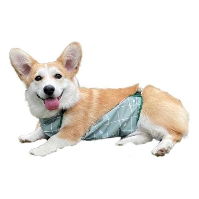 방수 강아지 외출 우비 앞치마 애견 필수템
