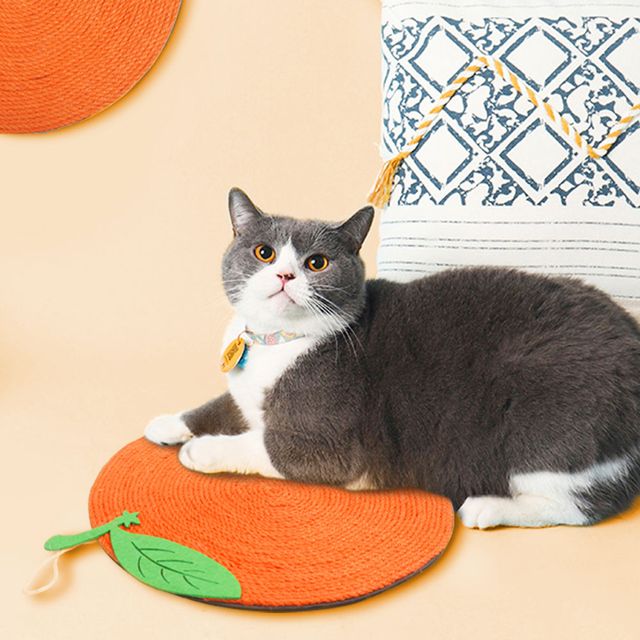 멍냥이랑 감 고양이 벽걸이 스크래쳐