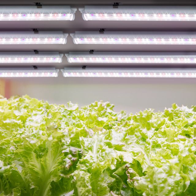 국내산 LED 식물 재배등 8개 풀세트 실내용 인공조명
