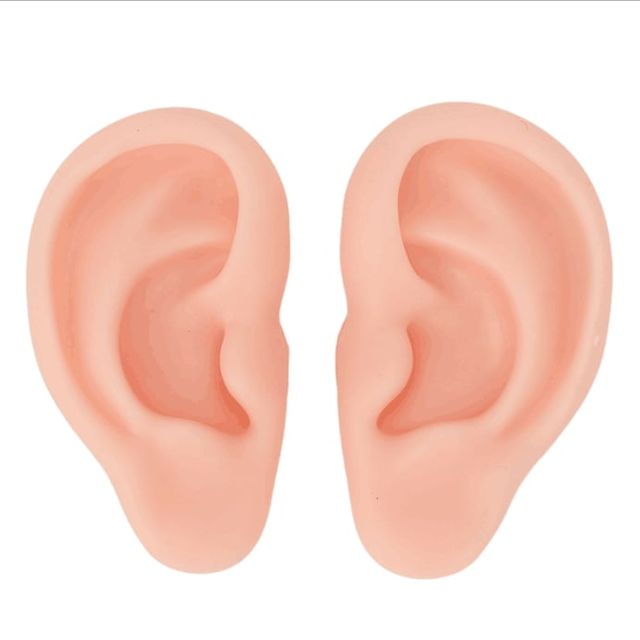 키밍 실리콘 귀모형 양쪽 세트 교육용 귀걸이전시