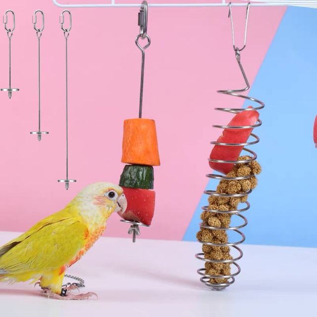 앵무새 스텐꽂이 먹이 훈련 새용품 과일 간식 집게