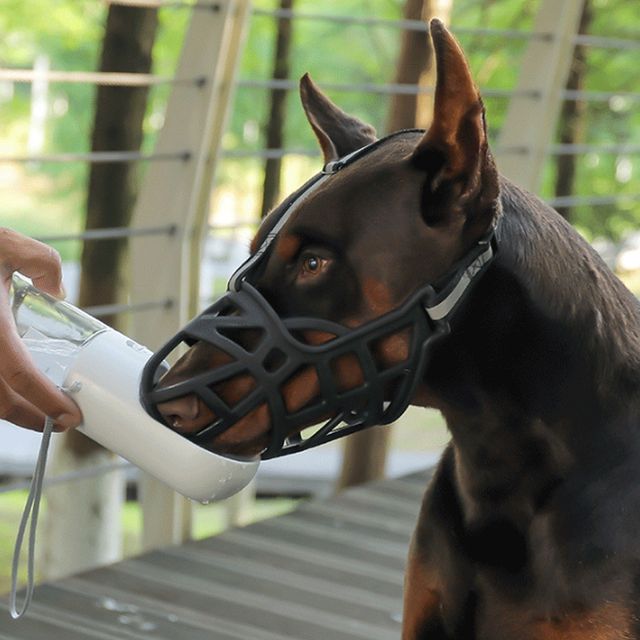 반려견 물림방지 입마개 OSM-1006173