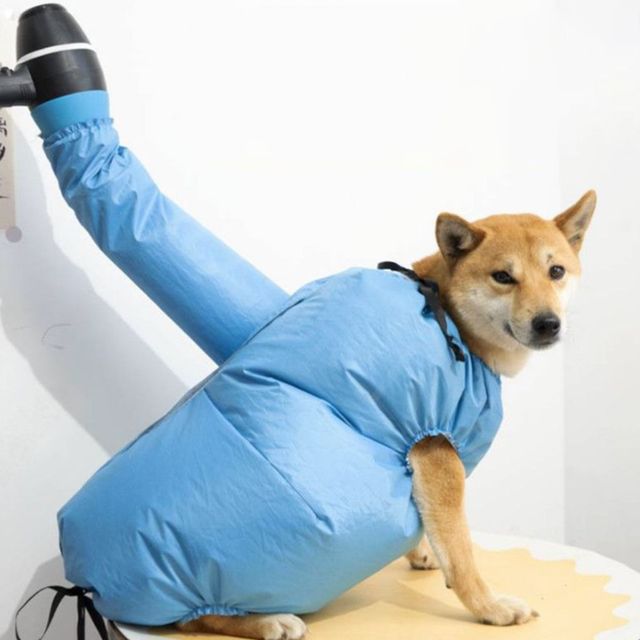 펫 드라이 건조복 간편 애견 목욕용품 드라이 수트
