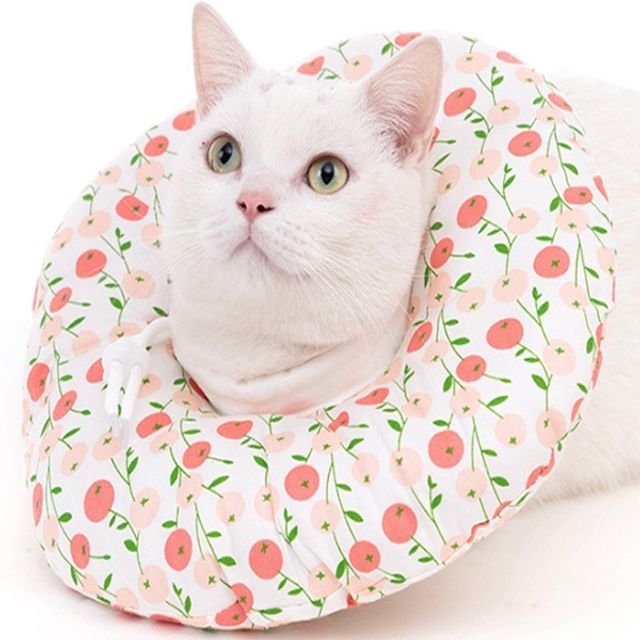 반려동물 핥기방지 목쿠션 고양이 넥카라 튜브 깔대기