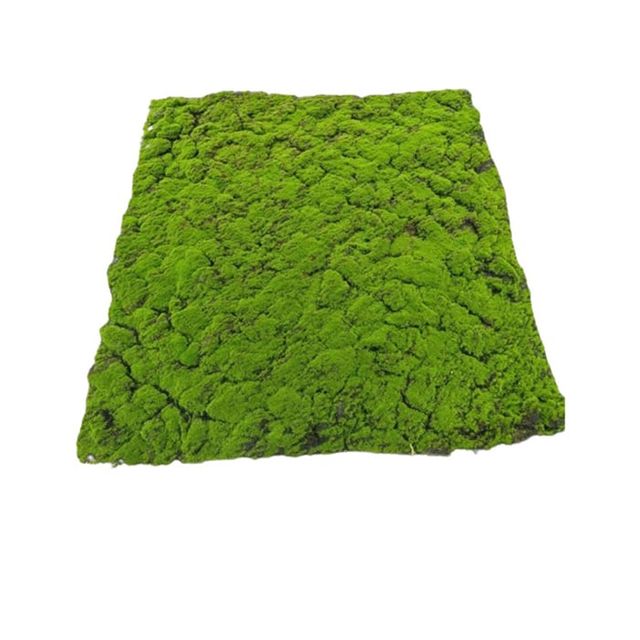 인조이끼 데코 조경 1m x 1m 잔디 매트 식물 DIY B형