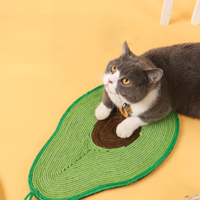 멍냥이랑 아보카도 고양이 벽걸이 스크래쳐