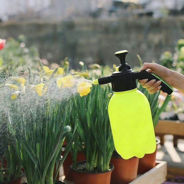 소형 압축 분무기 2리터 가정용 정원용 실내외 사용