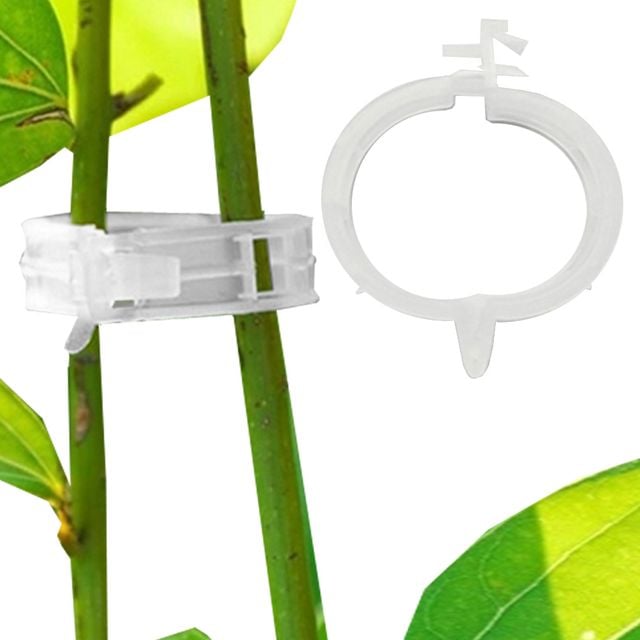 식물줄기 고정대 클립 50P세트 나무지지대 덩쿨 화초