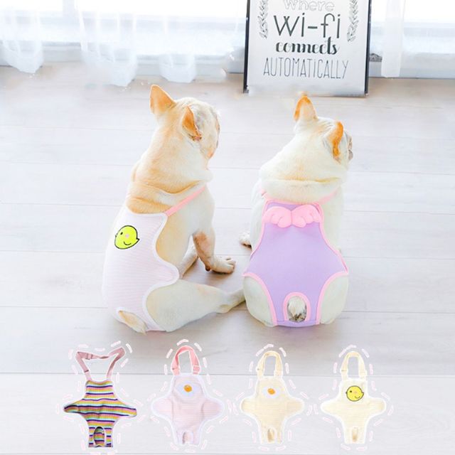 키밍 강아지 생리팬티 암컷 반려동물 위생팬티 다채로운 색상 6종