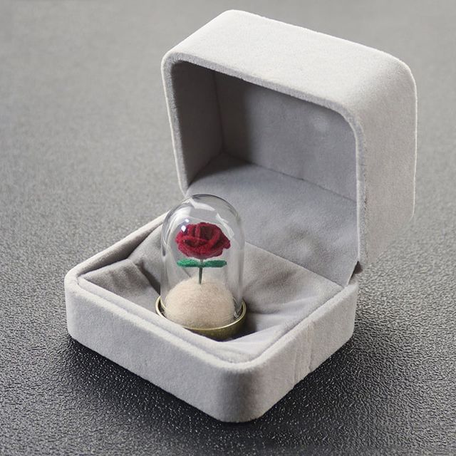 강아지 고양이 털 기념 보관함 2종세트 수집 케이스