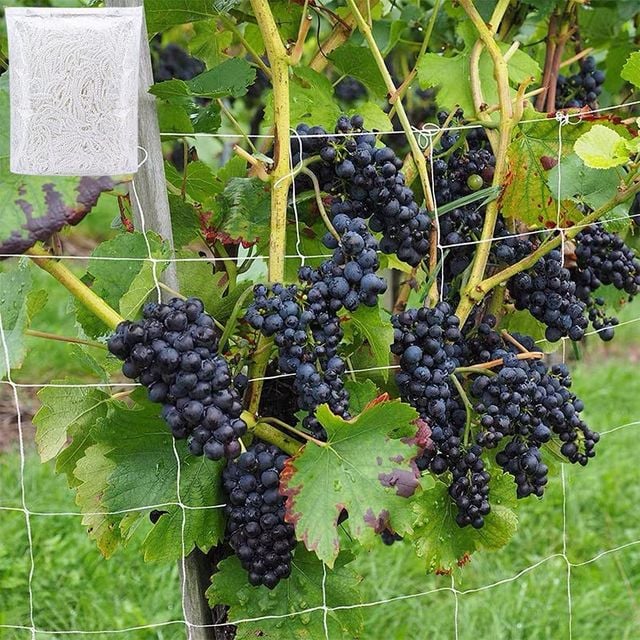 넝쿨 식물 원예용품 그물망 등나무망 1.5x18m 3x9m