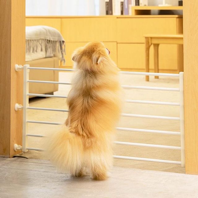 애견 안전 울타리 폭 조절 실내 보호문