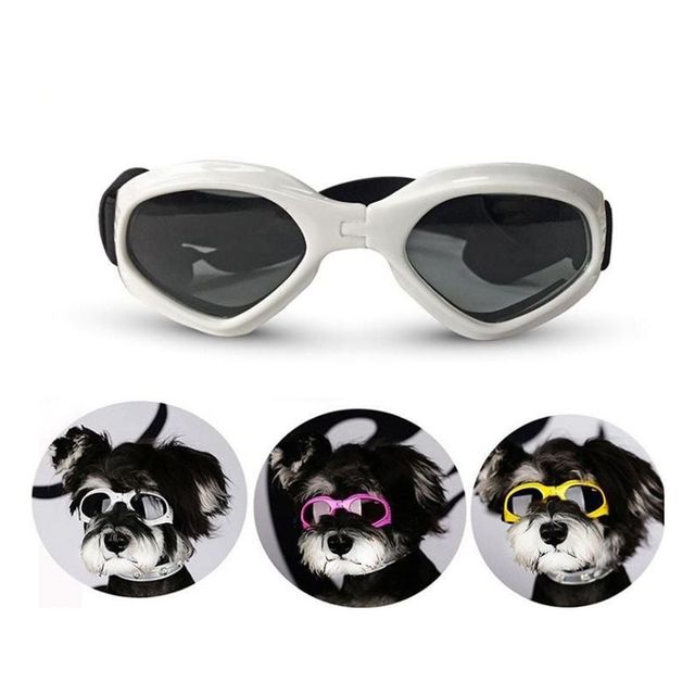 키밍 반려견 전용 차단 선글라스 안전 안경