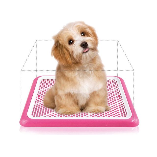 반려견 배변판 화장실 훈련 패드 애견용 실속형