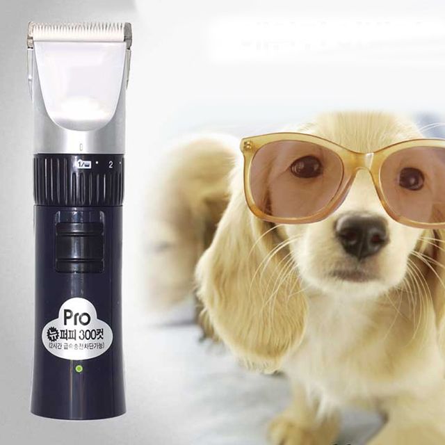 보거스104 전기식 뱐려견 충전겸용 애완견 이