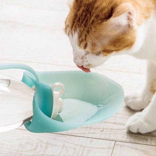 키밍 휴대용 반려동물 물통 강아지 고양이 나뭇잎 디자인