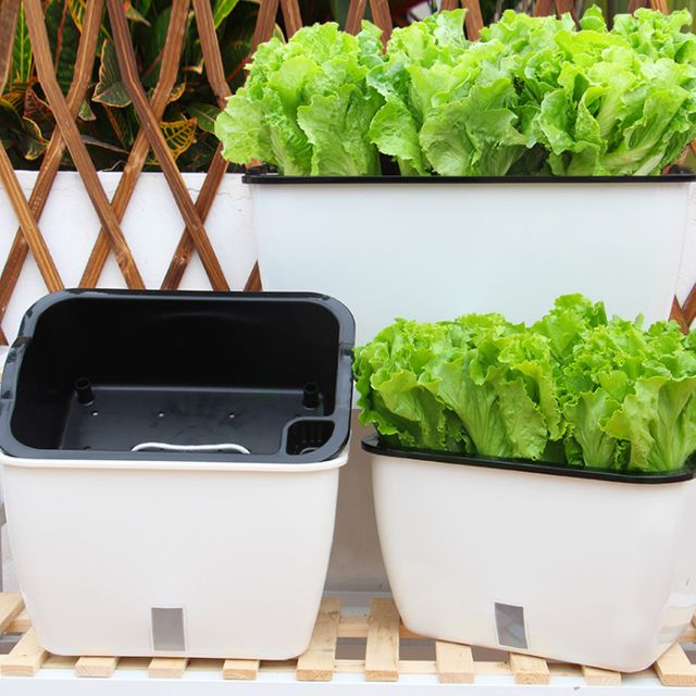 자동 급수 화분 식물 재배기 소형 플라스틱 텃밭 상자