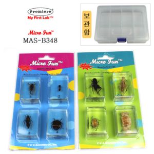 MAS-B348 표본곤충벌레8종 (BOX)
