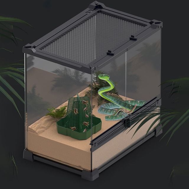 파충류 탈출 방지 먹이케이스 도마뱀 키우기 소형